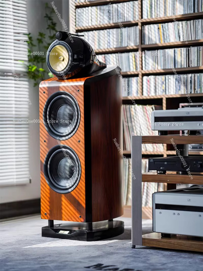 Gravity Nautilus M10 Dual 10 Zoll 3-Wege-HiFi-Standlautsprecher in Braun - Bild 3