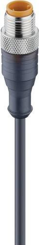 Lumberg Automation 11810-10 Sensor-Aktor-Steckverbinder M12 Stecker gerade Schwarz 4-polig 5,00 m Länge 10 Stück - Bild 1