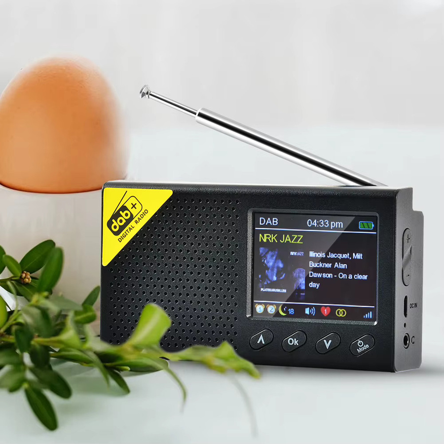APWIKOGER Tragbares DAB/DAB+ und FM Radio mit Bluetooth 5.0 in Schwarz - Bild 5