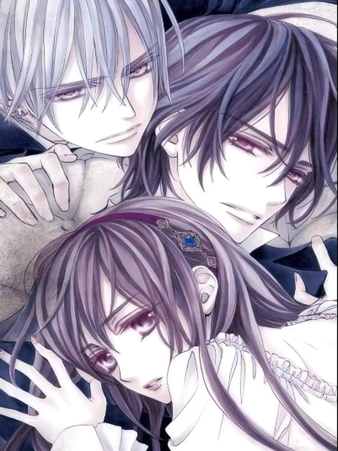 Selbstklebendes und wasserfestes Anime V-Vampire Knight Poster aus Papier in Multicolour - Bild 5