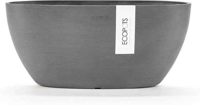 Ecopots Pflanzschale Sofia Oval in Grau, B: 30 cm, H: 13 cm, T: 13 cm - Bild 1