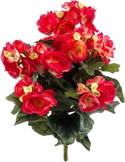 Künstliche Begonie Hansi von Aplanta, Höhe: 29 cm - Bild 1