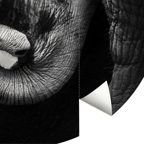 K&L Wall Art Runde Vliestapete Baby Elefant Safari Tiere Kinderzimmer, mehrfarbig, matt, B/H: 236 x 236 cm - Bild 3