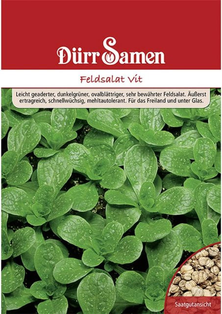 Dürr Feldsalat Saatgut 250 g - Bild 1
