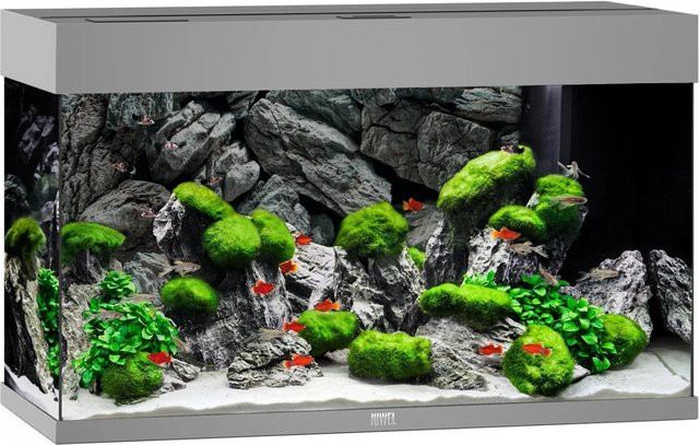 Juwel Aquarium Rio LED 125 in Grau - Bild 1