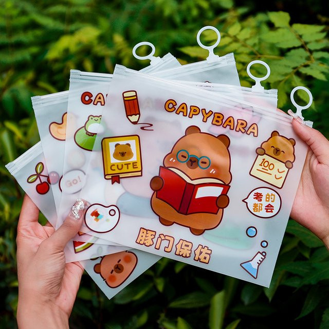 Transparente Capybara-Aktenmappe mit Reißverschluss und Griff für Schüler als niedliche Cartoon-Dokumententasche - Bild 1