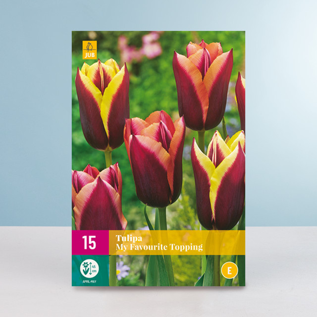 Tulpen My Favourite Topping Mix von BLUME2000 mit 15 Zwiebeln - Bild 1