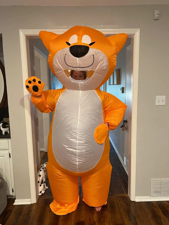 Hangchen Family Aufblasbares Hundekostüm, Kostüm für Cosplay - Bild 2