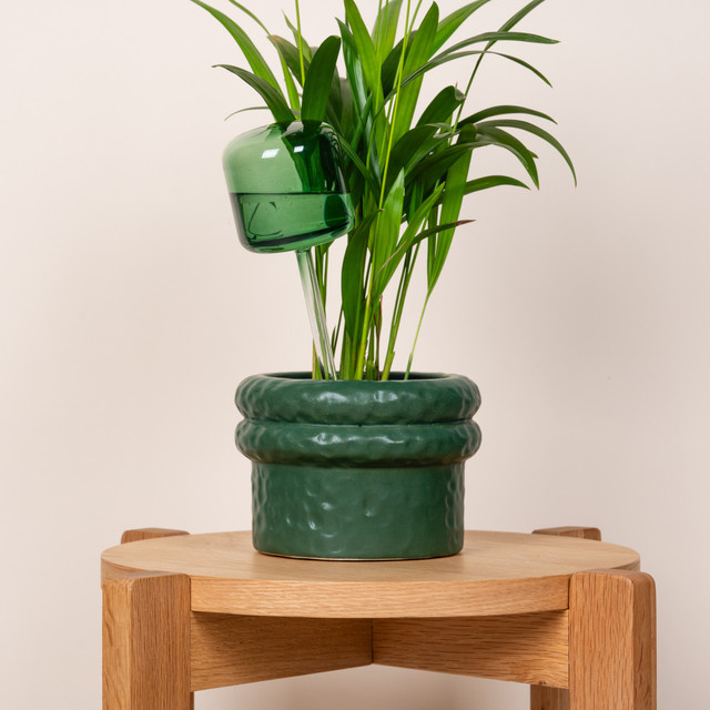 Bewässerungskugel aus Glas in Grün von BLUME2000, eckiges Design - Bild 1