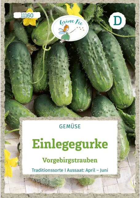 Grüne Fee Einlegegurke Vorgebirgstrauben Saatgut für den Freilandanbau - Bild 1