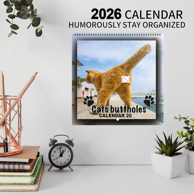2026 Wandkalender mit niedlichen Katzenmotiven für Katzenliebhaber, 12 Monate, Mehrfarbig - Bild 1