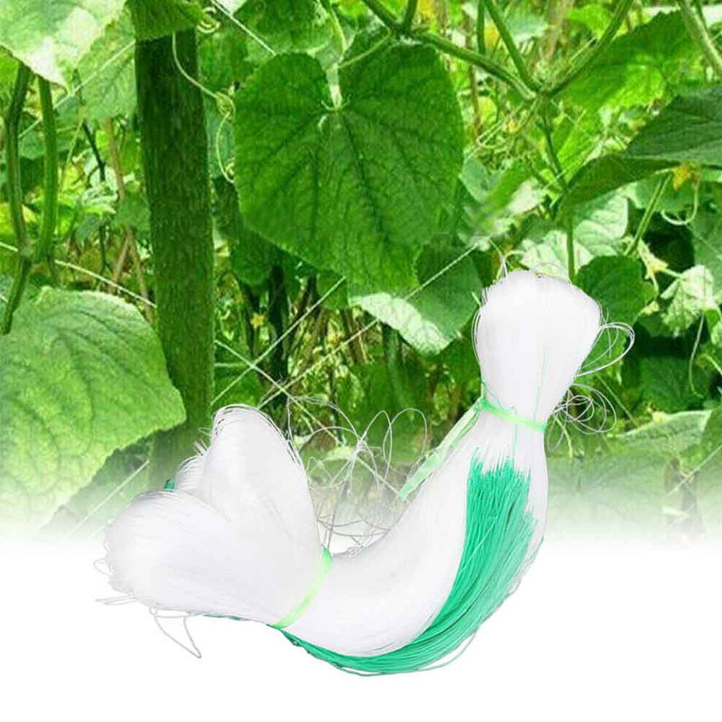 DIYelecs Pflanzenkletterstütznetz Spalier in Weiß für Garten und Gemüseanbau, 2 x 100 m - Bild 5