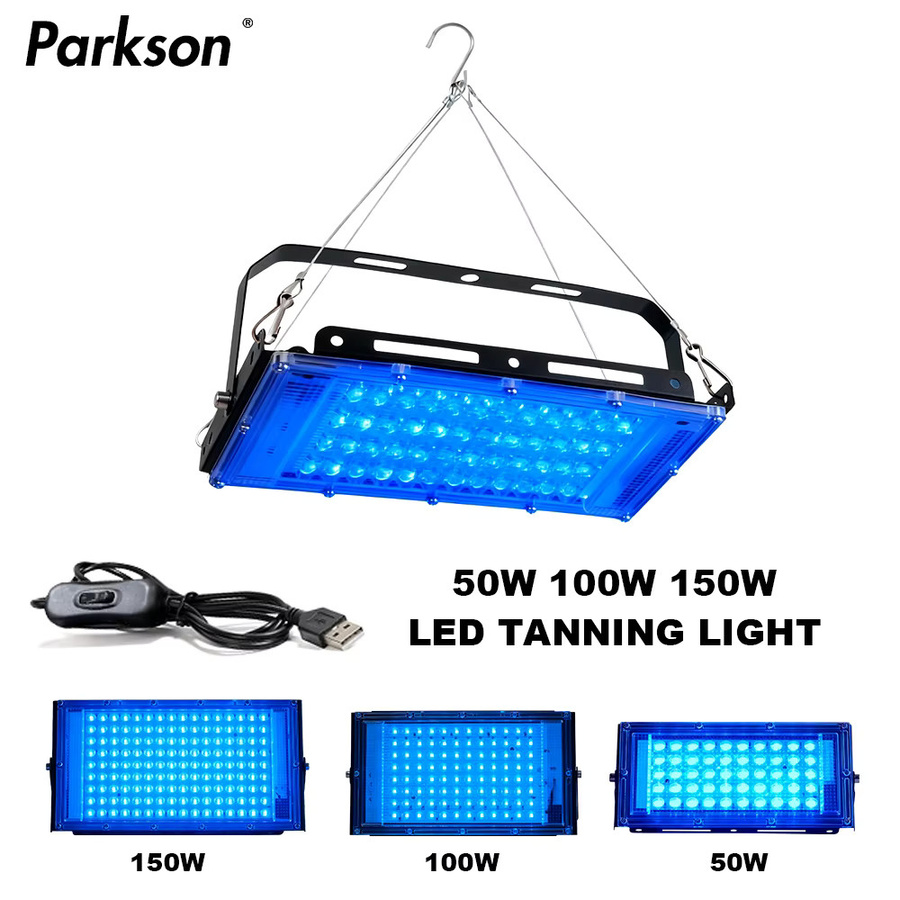 PARKSON LED Flutlicht Outdoor IP65 Wasserdicht mit USB-Anschluss in Schwarz - Bild 2