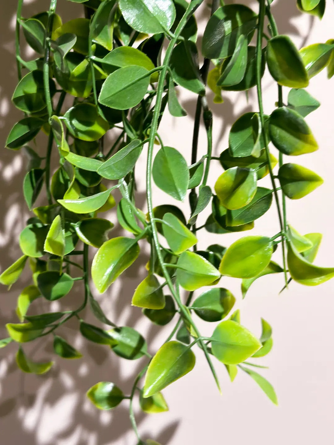 Künstlicher Kletterficus Robin von artplants in Grün, Höhe: 80 cm - Bild 3