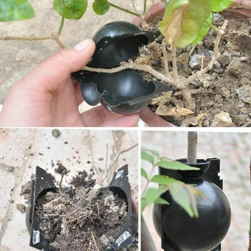 Lanzhong home life Set aus 5 Pflanzenbewurzelungskugeln zur Pflanzenvermehrung und zum Abmoosen, Farbe: Schwarz, Durchmesser: 5 cm - Bild 2