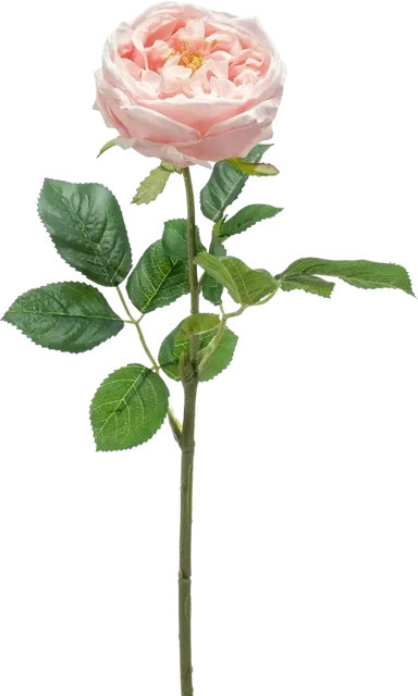 Künstliche Rose Samantha von Aplanta, Höhe: 58 cm - Bild 1