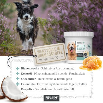 REAVET Pfotenbalsam, 120 ml - Bild 2