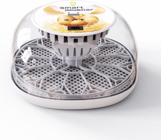 TOMTOP JMS Eierbrutkasten mit automatischem Eierdrehen, LED-Ei-Testlampe und transparentem Deckel, Weiß - Bild 1