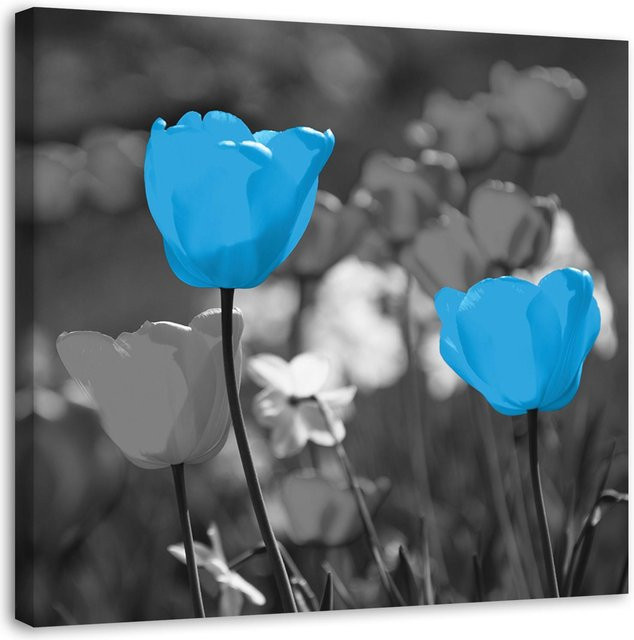 Feeby Leinwanddruck Blaue Tulpen auf einer Wiese, B/H: 30 x 30 cm - Bild 1
