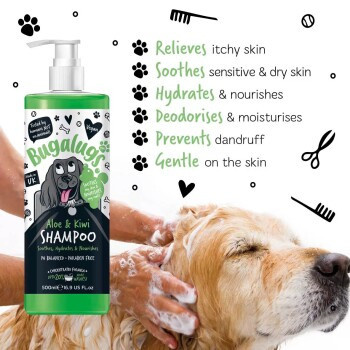 Bugalugs Aloe & Kiwi Hundeshampoo, 500 ml - Bild 3