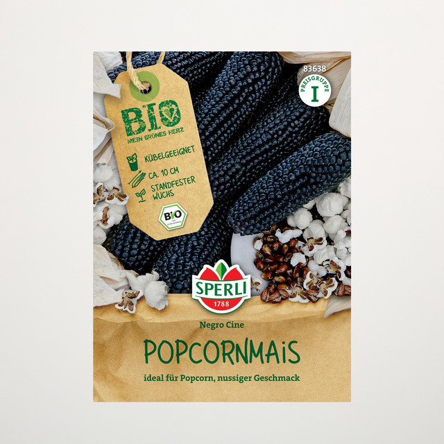 Sperli Popcornmais Negro Cine Bio Samen - Bild 1