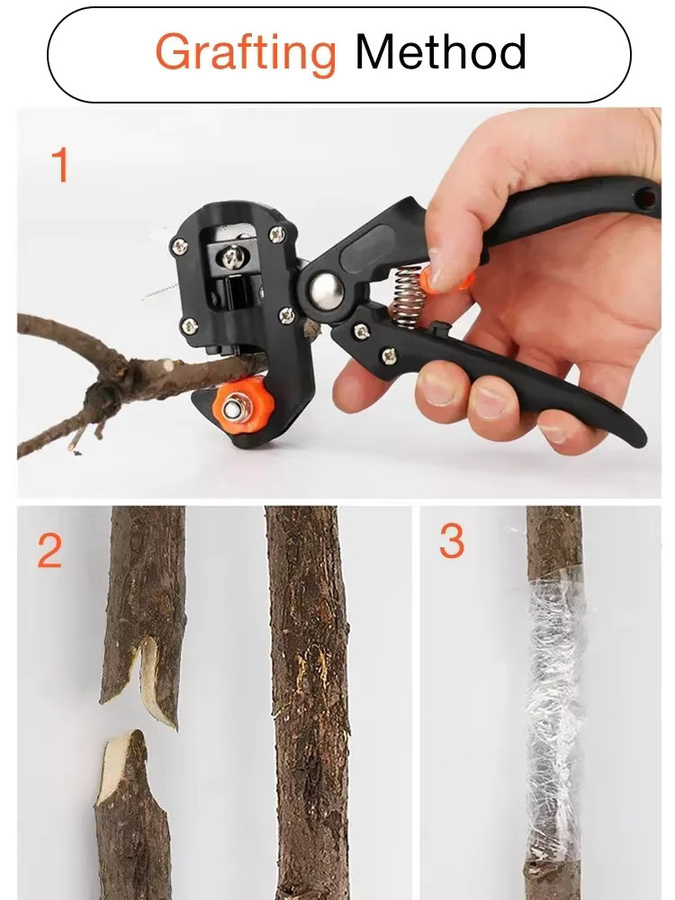 Deli Professionelle Gartenschere für Pfropfung und Obstbäume in Schwarz - Bild 6