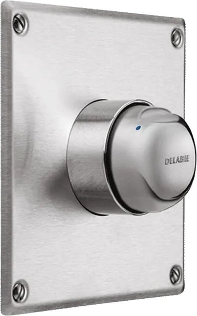 Delabie TEMPOMIX Selbstschluss-Duscharmatur G1/2B mit Edelstahl-Abdeckplatte in Chrom und Silber, wassersparend und unterputz montiert - Bild 1