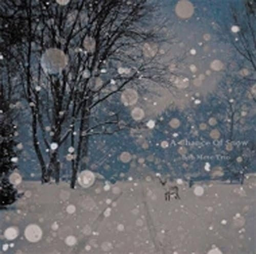 Chance Of Snow, Bob Mete Trio, CD, Jazz - Bild 1