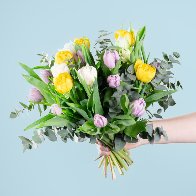 BLUME2000 Tulip Dream Tulpen bunch multicolor - Bild 1