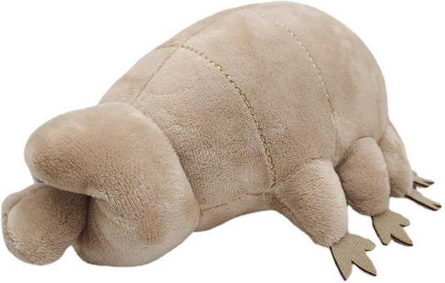 Binchi Fitness Bärtierchen, Plüschtier, khaki, ab 3 Jahre - Bild 1