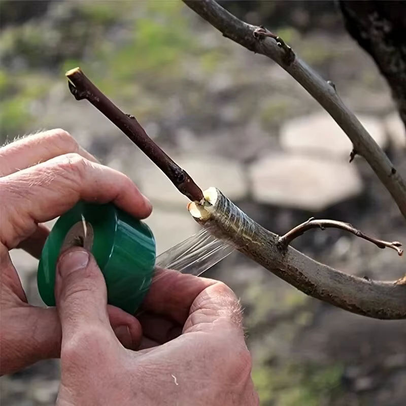 Selbstklebendes PE-Pfropfband in Transparent für Gartenbau und Pflanzenpflege von Sämlingen, Reben und Tomaten - Bild 2