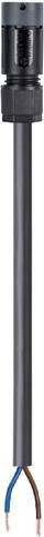 Wieland Electric Anschlussleitung Schwarz 4L.427.0538.4 - Bild 1