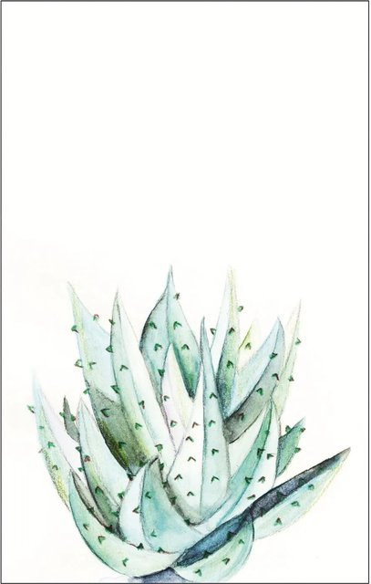 Komar Wandbild Aloe Watercolor in Grün, B/H: 50 x 70 cm - Bild 1