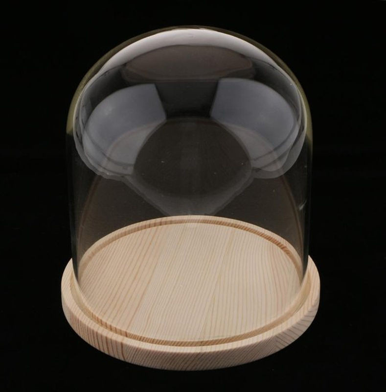 Kesoto Glasgefäßkuppel mit braunem Holzsockel, runde Mikro-Landschaftshalter Vase im skandinavischen Design, transparent - Bild 1