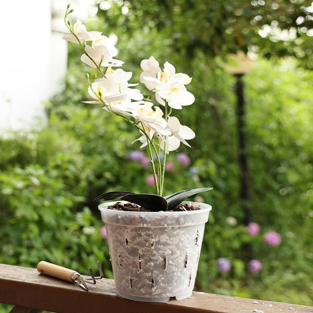 5er Set Qiilu Orchideen Blumentöpfe aus Kunststoff mit Tablett, transparent, atmungsaktiv für Zimmerpflanzen - Bild 1