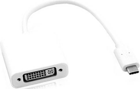 Roline USB-C auf DisplayPort Adapter in Weiß, Länge: 0,10 m - Bild 1
