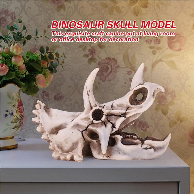 mfySpace Triceratops Schädel Modell aus Harz als dekoratives Dinosaurier Skelett für Heim und Büro - Bild 1