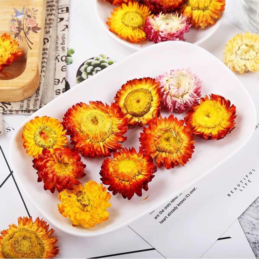 100 Stück getrocknete Blumenmischung aus Gänseblümchen, Sonnenblumen und Chrysanthemen in Mehrfarbig für DIY-Handwerk und Tischdekoration - Bild 3