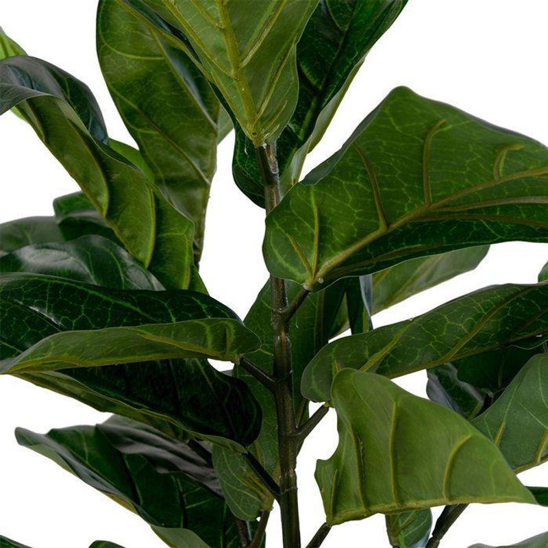 House Nordic Künstliche Geigenfeige Ficus lyrata Grün Höhe: 100 cm - Bild 3