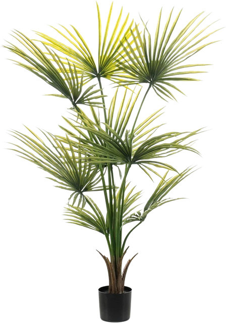 Künstliche Palme Zaron Höhe: 120 cm - Bild 1