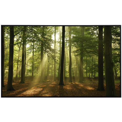 papermoon EcoHeat Infrarotheizung Wald am Morgen mit App-Steuerung und Überhitzungsschutz, bunt, Matt-Effekt - Bild 2