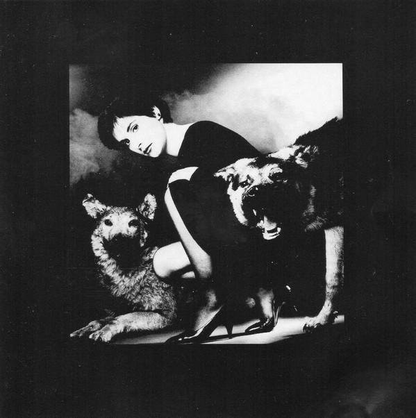 Enya, CD, Pop - Bild 1