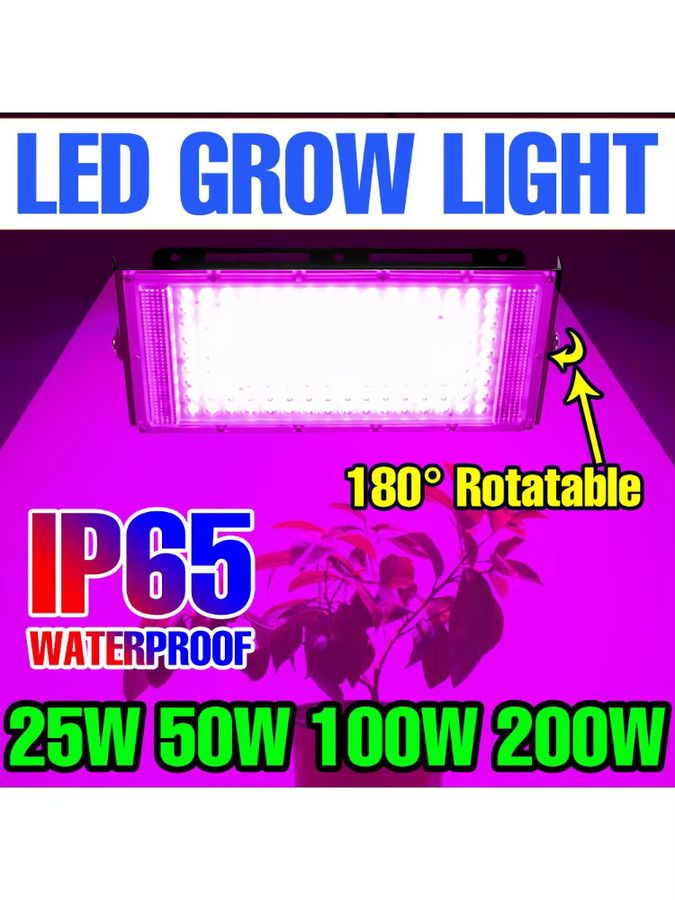 CanLing 200 W LED-Vollspektrum-Wachstumslicht für Gewächshauspflanzen, Zelt, Sukkulenten und Hydrokultur, 220 V - Bild 6