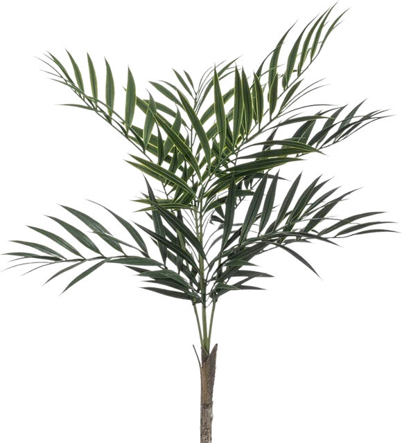 Künstliche Palme Koa von Aplanta, Höhe: 60 cm - Bild 1