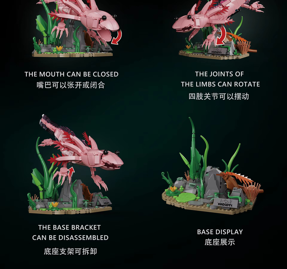 stemedu Aquatisches Amphibien-Axolotl-Modell, Baustein-Set, 998 Teile, ab 8 Jahren - Bild 5