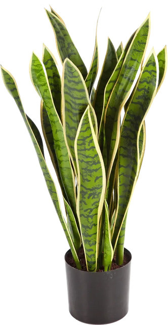 Künstlicher Bogenhanf Liam von Aplanta, grün, Höhe: 80 cm - Bild 1