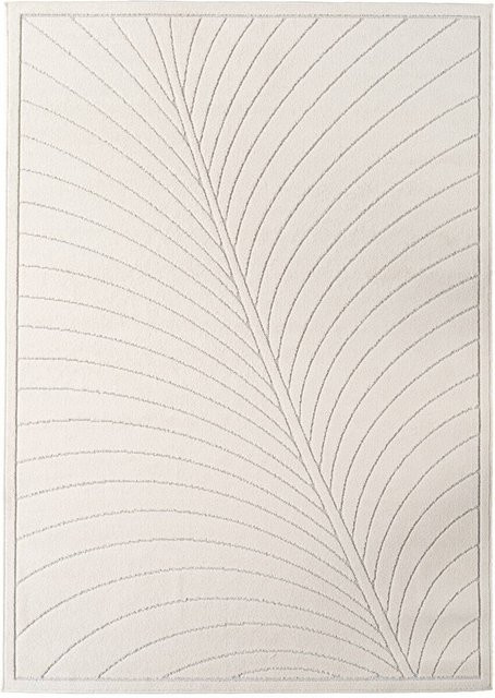 Ayyildiz Flachwebteppich NOVA in Creme und Beige mit High-Low-Effekt, B/L: 280 x 370 cm - Bild 1