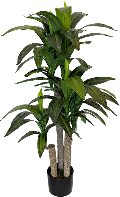 Künstliche Dracaena Maevor von artplants in Grün, Höhe: 120 cm - Bild 1