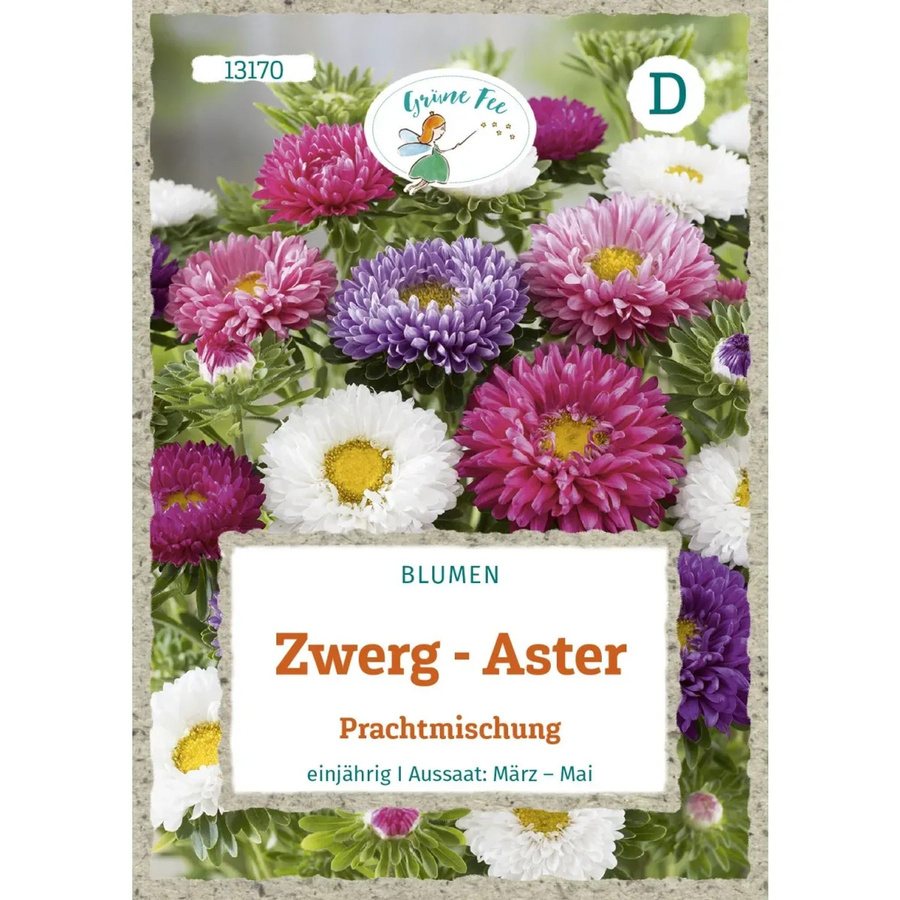 Grüne Fee Zwerg-Aster Prachtmischung Saatgut für Beete, Rabatten und Balkonkästen - Bild 2