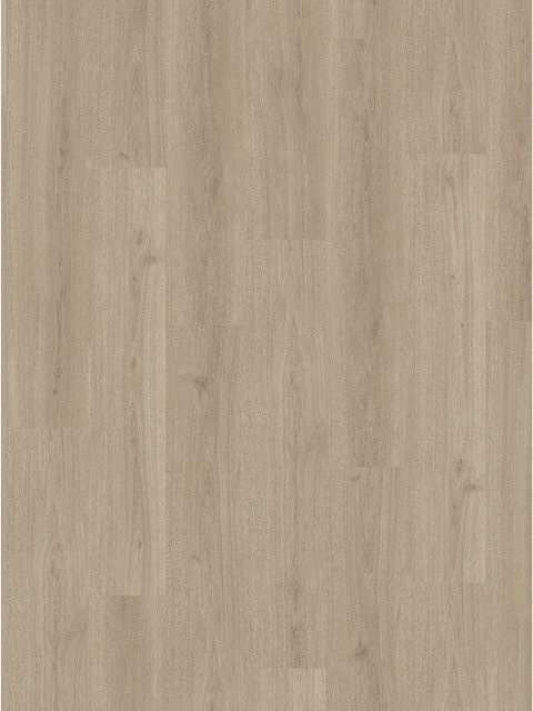 Parador Vinylboden Basic 30 Eiche Regent Grau in Holzoptik mit Click-System - Bild 1